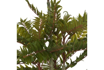 Sztuczne drzewko cedr czerwony 180 cm