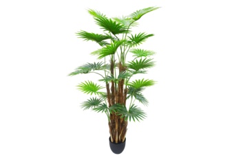 Sztuczna palma wachlarzowa 170 cm