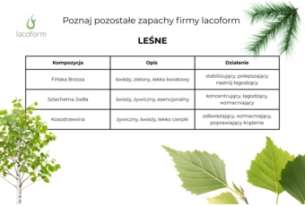 Zapach do sauny Lacoform zimowe marzenie 250 ml 