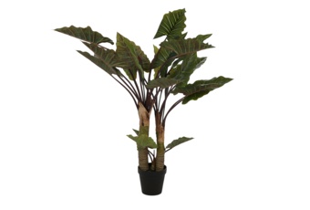 Sztuczna kolokazja 170 cm