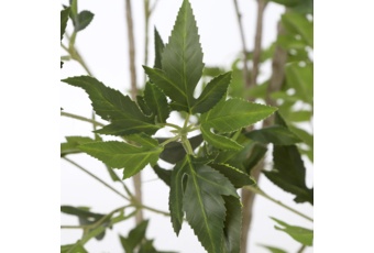 Sztuczny pieris 210 cm