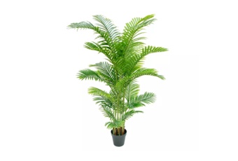 Sztuczna palma areka 200 cm
