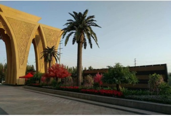 Sztuczna palma daktylowa 9 m