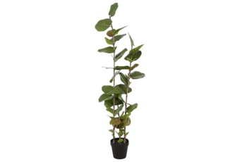 Sztuczna kokkoloba 170 cm