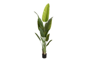 Sztuczny pielgrzan madagaskarski 200 cm