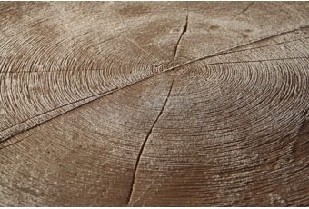 Zbiornik na deszczówkę MPI Little Tree 250 l