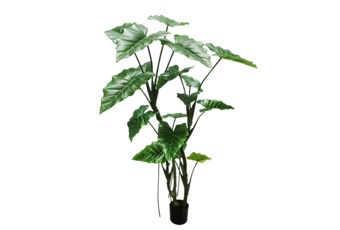 Sztuczna kolokazja 160 cm