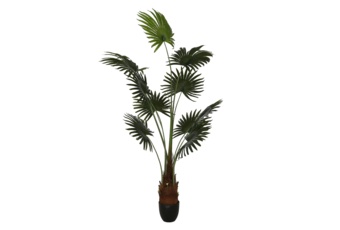 Sztuczna palma wachlarzowa na pniu 180 cm