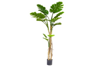 Sztuczna monstera wielopienna 180 cm