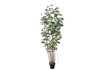 Sztuczny fikus 190 cm