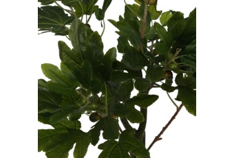 Sztuczny figowiec 160 cm