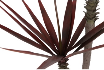 Sztuczna agawa 230 cm