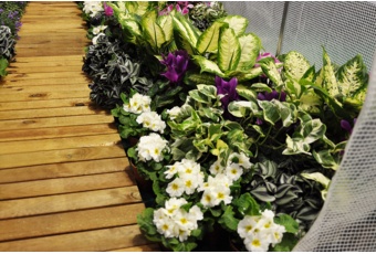 Tunel foliowy o pow. 13,5 m2 kolor niebieski Tunel foliowy 300 x 450 cm (13,5 m²) stelaż + folia niebieska