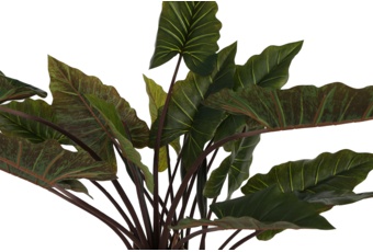 Sztuczna kolokazja 170 cm