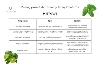 Zapach do sauny Lacoform zimowe marzenie 250 ml 