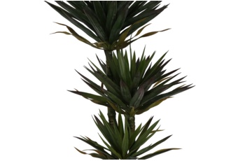 Sztuczna juka 170 cm