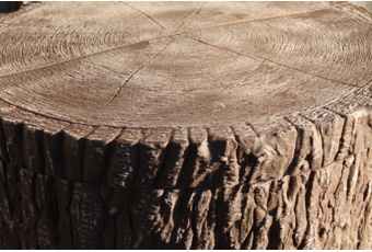 Zbiornik na deszczówkę MPI Little Tree 250 l