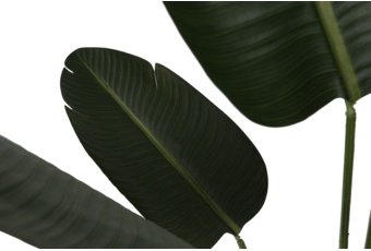 Sztuczna sterlicja 160 cm