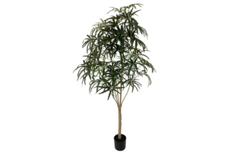 Sztuczna aralia 180 cm