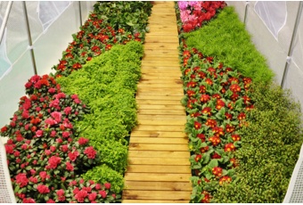 Tunel foliowy o pow. 13,5 m2 kolor niebieski Tunel foliowy 300 x 450 cm (13,5 m²) stelaż + folia niebieska