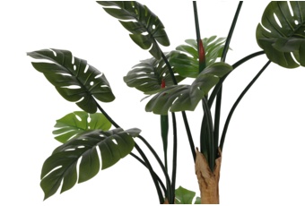 Sztuczna monstera wielopienna 160 cm