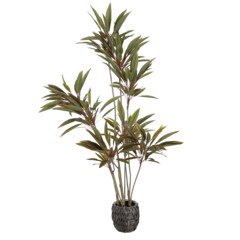 Sztuczna kordylina 180 cm