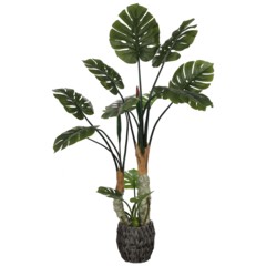 Sztuczna monstera wielopienna 160 cm