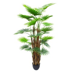 Sztuczna palma wachlarzowa 170 cm