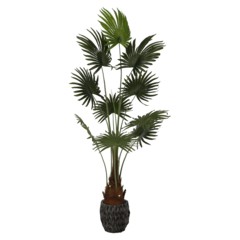 Sztuczna palma wachlarzowa na pniu 180 cm