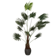 Sztuczna palma wachlarzowa na pniu 200 cm