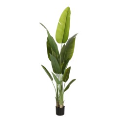 Sztuczny pielgrzan madagaskarski 200 cm