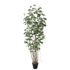 Sztuczny fikus 190 cm