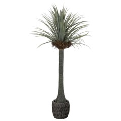 Sztuczna juka 180 cm