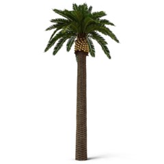 Sztuczna palma daktylowa 10 m