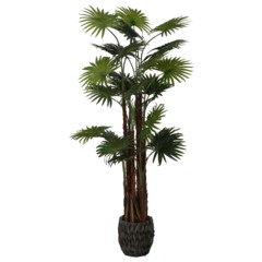 Sztuczna palma wachlarzowa 170 cm