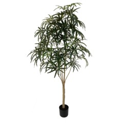 Sztuczna aralia 180 cm