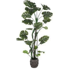 Sztuczna monstera 180 cm