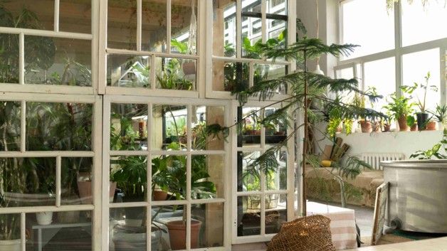 Ile kosztuje ogród zimowy na tarasie? Od czego zależy ostateczna cena?