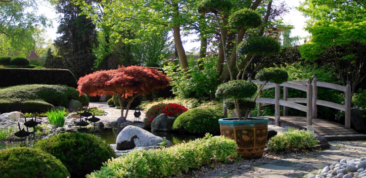 Ogród chiński – charakterystyka i inspiracje na aranżacje