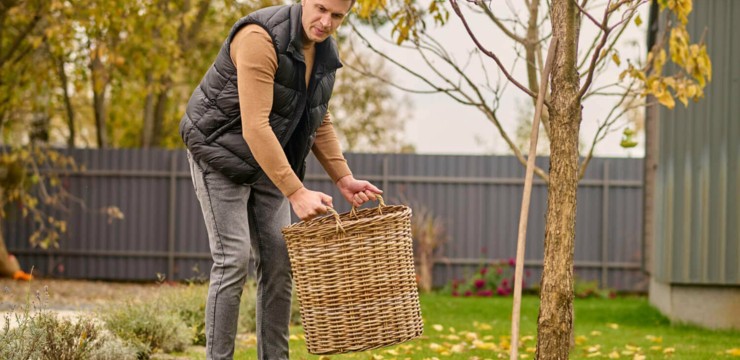 Październik w ogrodzie – co trzeba zrobić? Lista prac