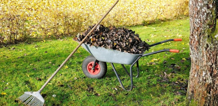 Jesień w ogrodzie - jakie prace należy wykonać?