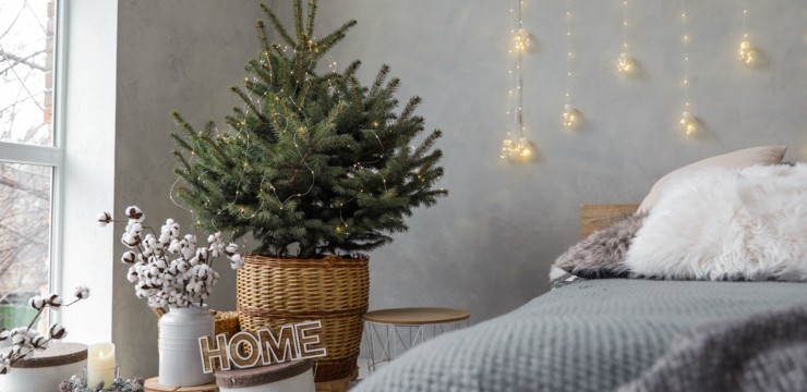 Do kiedy może stać choinka i co z nią zrobić po świętach?
