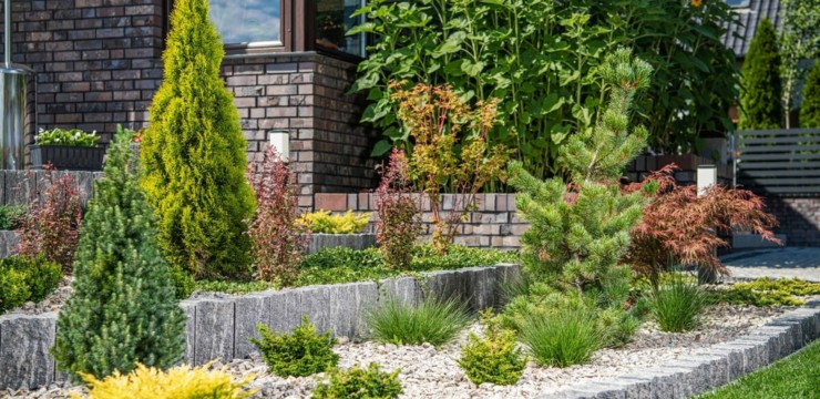 Skalniak w ogrodzie - jak go założyć?