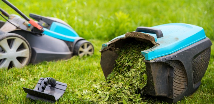 Co zrobić ze skoszoną trawą? Dowiedz się, jak ją wykorzystać!