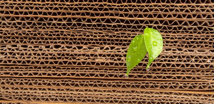 Ściółkowanie kartonami – poznaj wady i zalety!