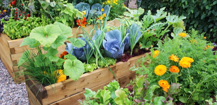 Jak zrobić skrzynię na warzywa z palet? Proste i efektowne DIY