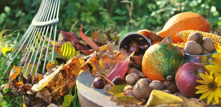 Jesienne dekoracje w ogrodzie - 6 pomysłów