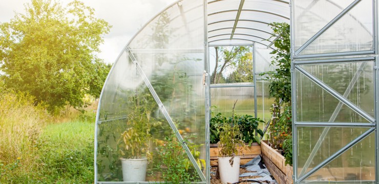 Czeka Cię montaż szklarni z poliwęglanu? Sprawdź, jak to zrobić