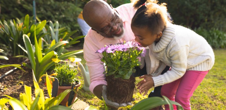 Czym jest ogród sensoryczny i jak go zaprojektować?