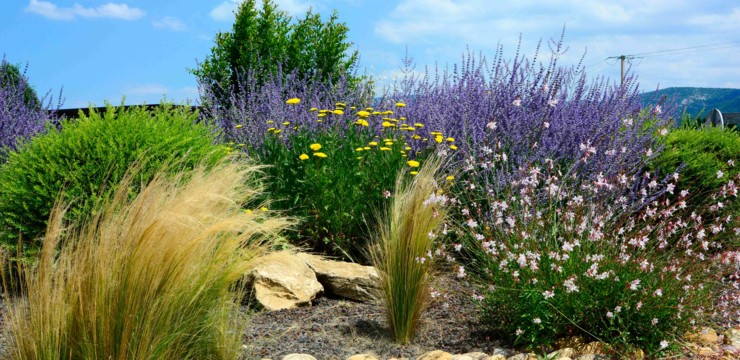 Ogród w stylu prowansalskim. Jak stworzyć sielski klimat w przydomowej przestrzeni?